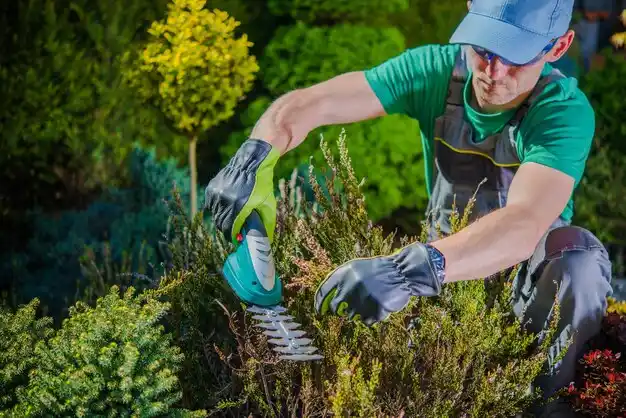 landscaping services Crescent